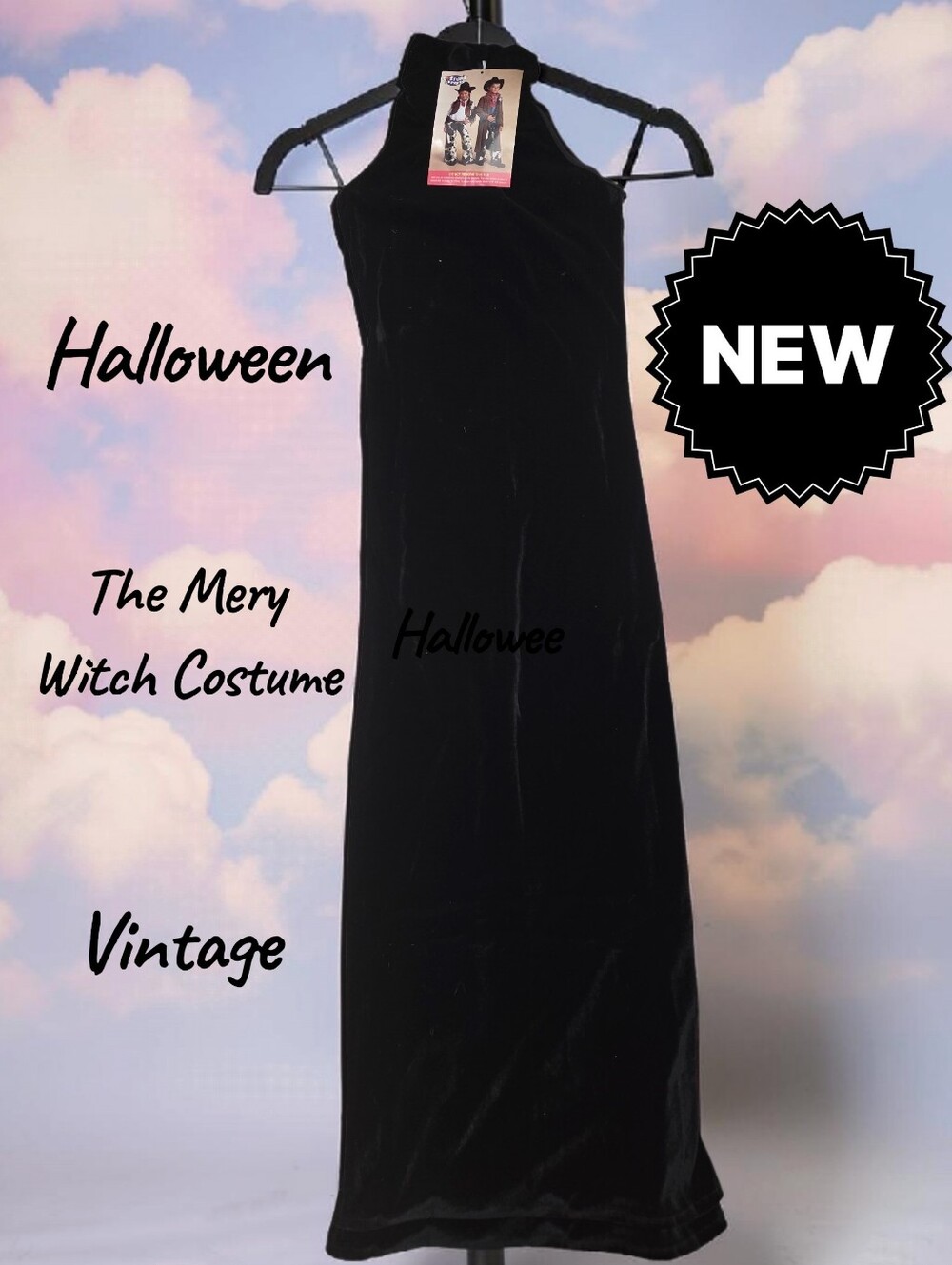 New The Merry Witch Halloween costume dress Retired Women 0/1
